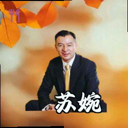 苏婉